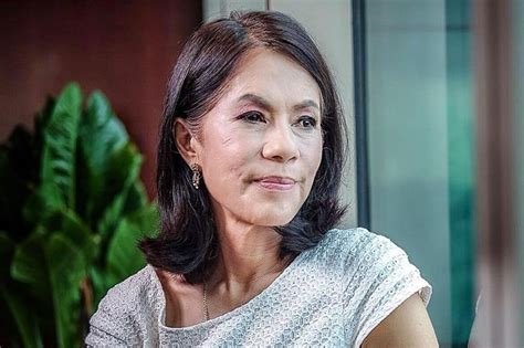 gina lopez projects|Knowing Gina Lopez: A Filipino Environmental Advocate.